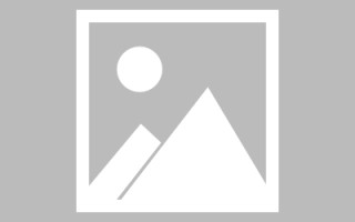 平阳如何制作报表小程序（如何制作报表小程序软件）